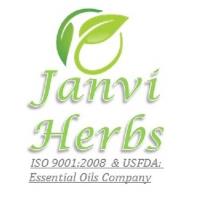 JANVI HERBS image 10